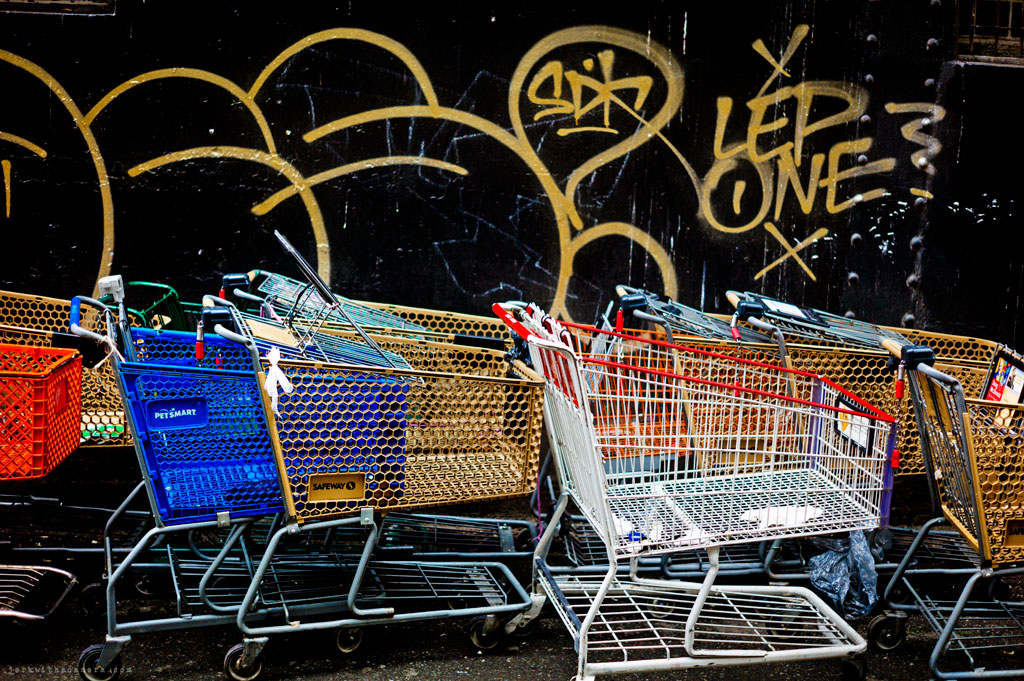 1024x681 My Hood! Jerk With A Camera - Shopping Cart Painting