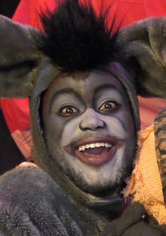 236x336 Donkey Face Paint - Shrek Face Painting