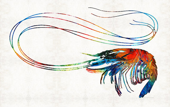 570x358 Colorful Shrimp Art Print From Painting Beach Ocean Sea - Shrimp Painting