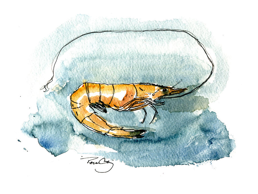 900x675 Gulf Shrimp Painting By Paul Gaj - Shrimp Painting