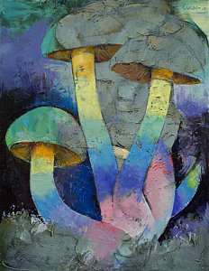 232x300 Mushroom Paintings Fine Art America - Shroom Painting