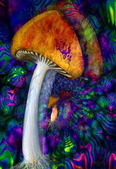 236x344 The Magic Of Mushroom Cultivation - Shroom Painting