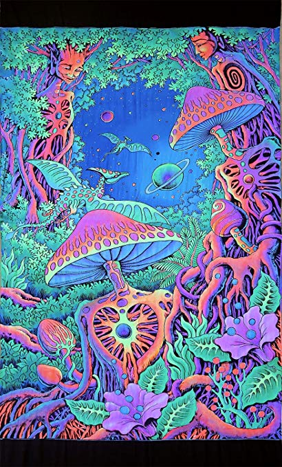 410x679 Psychedelic Tapestry - Shroom Painting