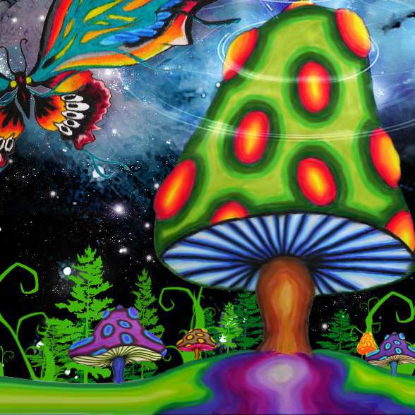 588x588 First Time On Shrooms, Lemon Tek It Or Not. - Shroom Painting