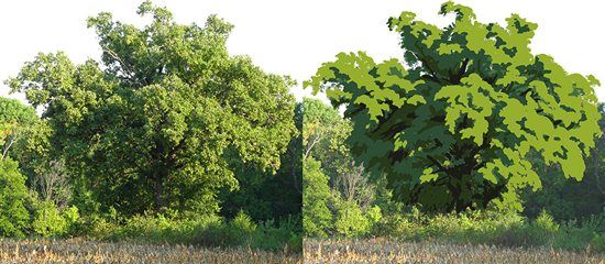550x240 No Clutter In Landscapes - Shrub Painting