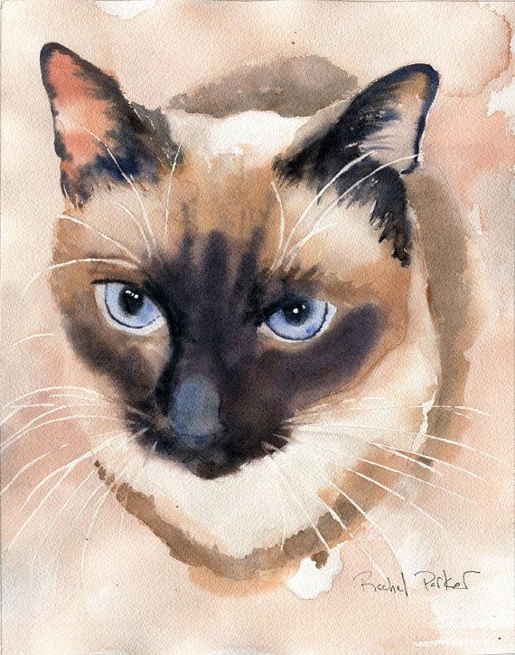 570x724 Print Applehead Siamese Cat Art Print Of A Watercolor Painting Big - Siamese Cat Painting