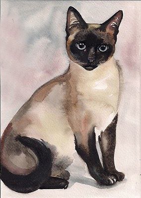 284x400 Siamese Cat Oil Painting - Siamese Cat Painting