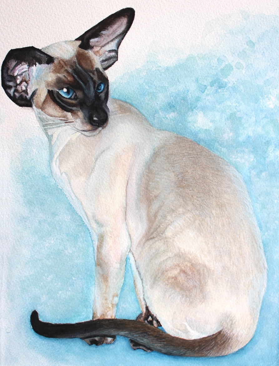 893x1172 Seal Point Siamese Cat Painting Feline Sapien - Siamese Cat Painting