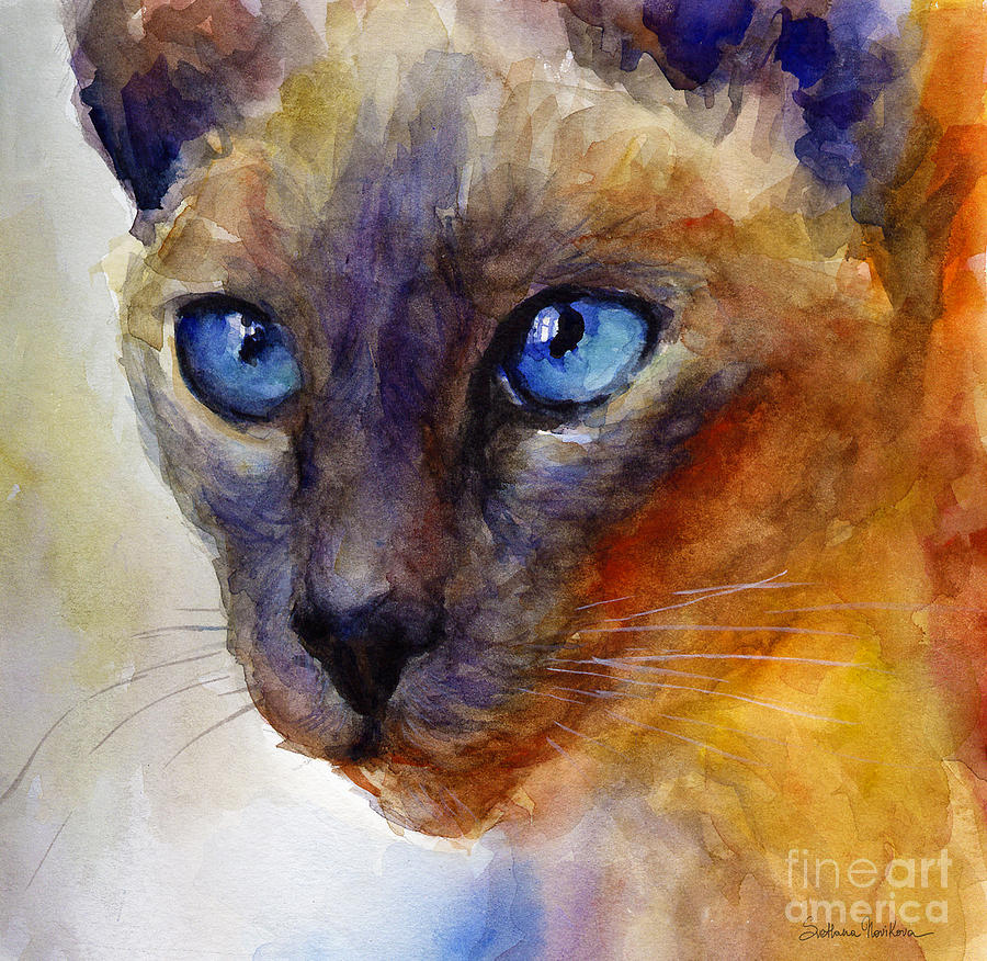900x876 Intense Siamese Cat Painting Print 2 Painting By Svetlana Novikova - Siamese Cat Painting
