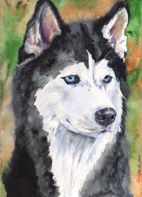 570x790 Siberian Husky Watercolor Original Painting Art Cute Sweet Dog - Siberian Husky Painting