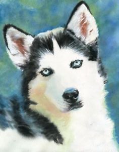 Siberian Husky Painting at PaintingValley.com | Explore collection of ...