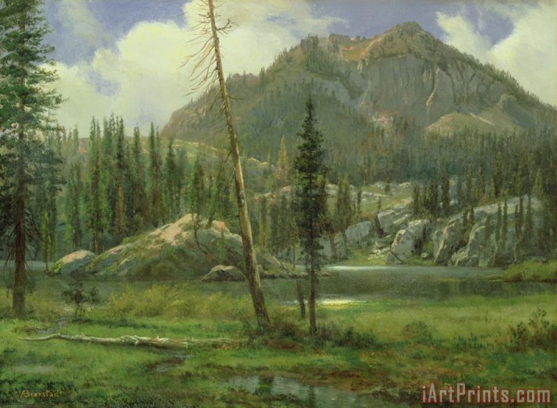 800x586 Albert Bierstadt Sierra Nevada Mountains Painting - Sierra Nevada Painting