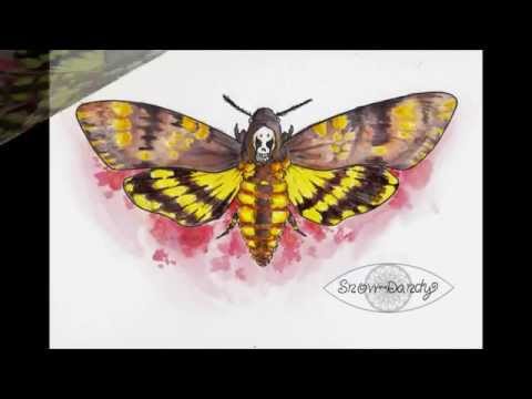 480x360 Silence Of The Lambs Tribute Speed Paint Deaths Head Moth - Silence Of The Lambs Painting