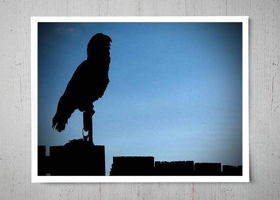 570x408 Luna Parrot Silhouette Canvas Painting Octotreasure - Silhouette Canvas Painting