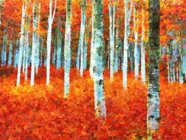 640x480 Nature Painting Forest Silver Birch Red Autumn Poster Art Print - Silver Birch Painting
