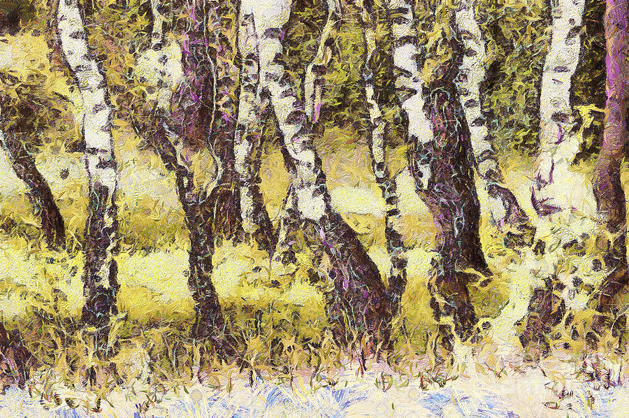 900x598 Silver Birch Painting By Odon Czintos - Silver Birch Painting