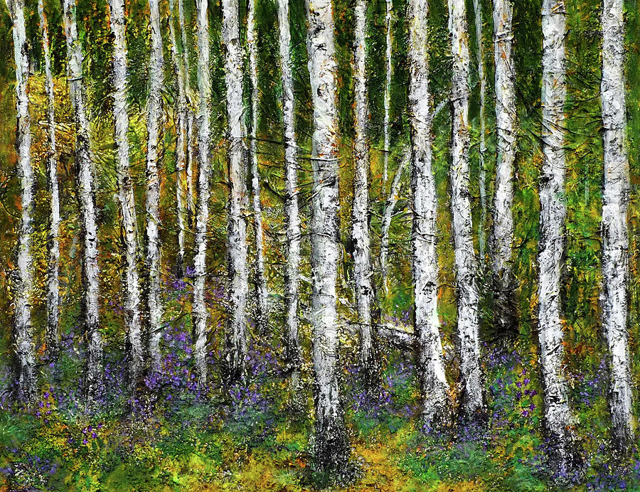 900x692 Silver Birch Trees Painting By Sarmite Alksne - Silver Birch Painting