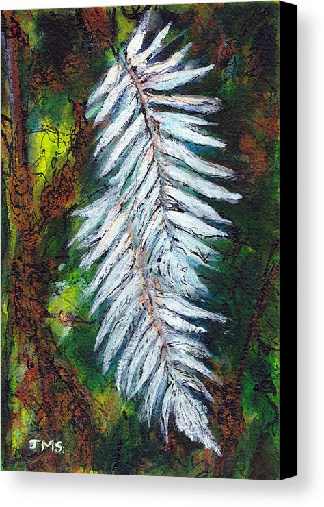 474x740 New Zealand Silver Fern Canvas Print Canvas Art By Jackie Sherwood - Silver Fern Painting
