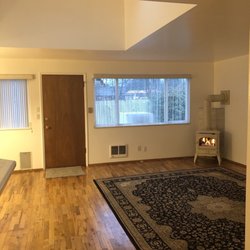 250x250 Silver Fern Painting - Silver Fern Painting