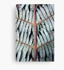 210x230 Silver Fern Painting Amp Mixed Media Canvas Prints Redbubble - Silver Fern Painting