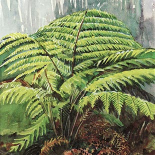 310x310 Client Focus - Silver Fern Painting
