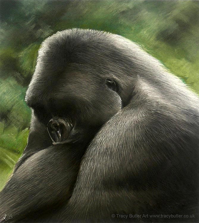 669x750 Tracy Butler Art Silverback, Gorilla, Wildlife Painting - Silverback Gorilla Painting
