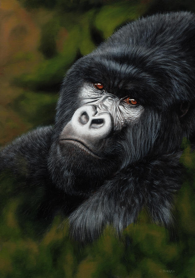 630x900 Heir Apparent - Silverback Gorilla Painting