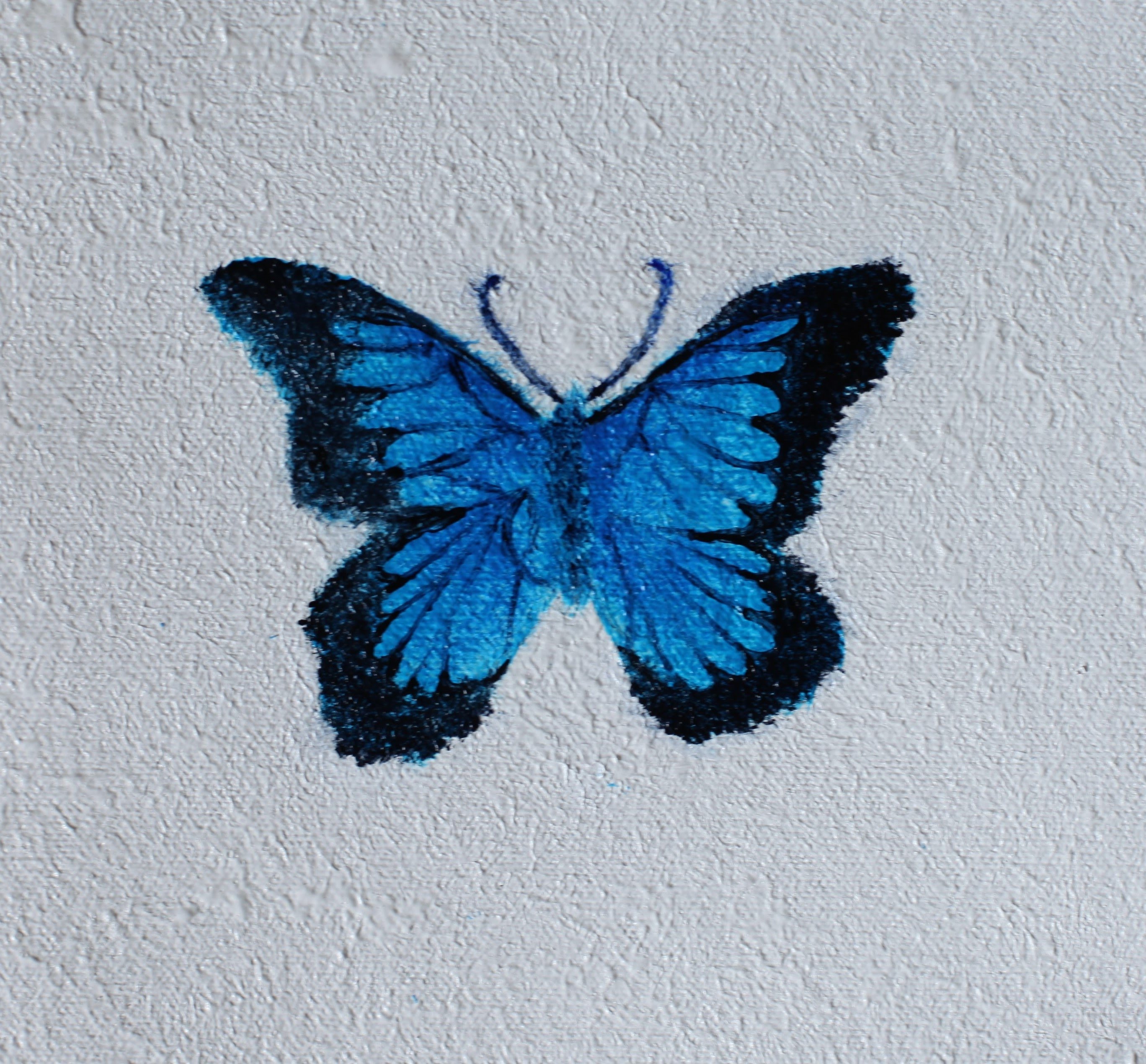 2736x2540 How To Paint A Butterfly Using Acrylics - Simple Butterfly Painting