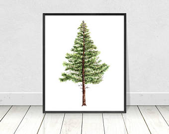 340x270 Pine Tree Watercolor Etsy - Simple Christmas Tree Painting