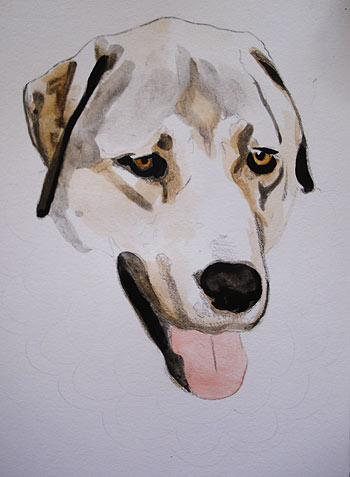 350x477 Mixed Media Tutorial Learn How To Combine Colored Pencils - Simple Dog Painting