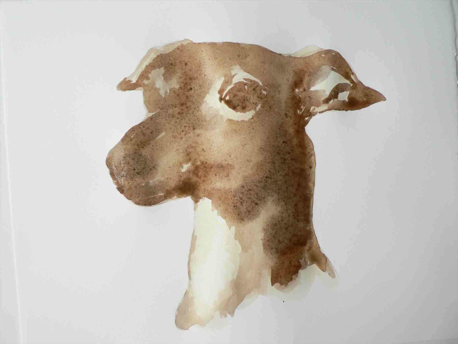 1900x1425 Paint Black Dogs Painting Reference Materials - Simple Dog Painting