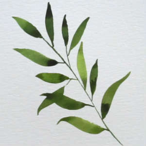 300x300 Make Art Minute Painting Simple Leaves - Simple Leaf Painting