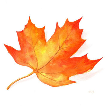 354x354 Sage Herb Art, Original Watercolor From Abfoleyartworks On Etsy - Simple Leaf Painting