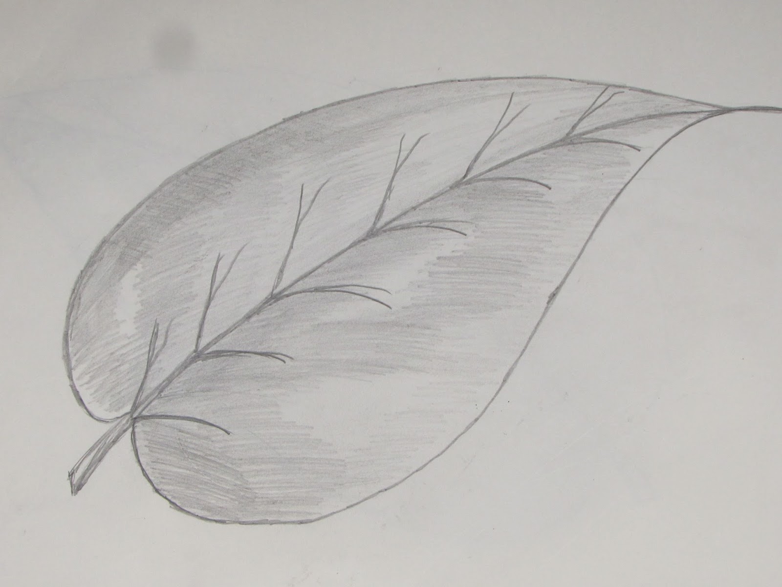 1600x1200 How To Draw Or Sketch Of Simple Plane Leaf - Simple Leaf Painting