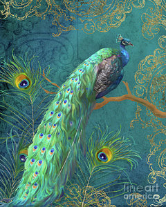 240x300 Peacock Paintings Fine Art America - Simple Peacock Painting