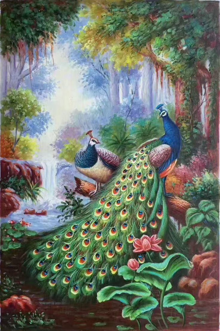 736x1108 Peacock Paintings On Canvas Elegant 661 Best Oil Painting Simple - Simple Peacock Painting