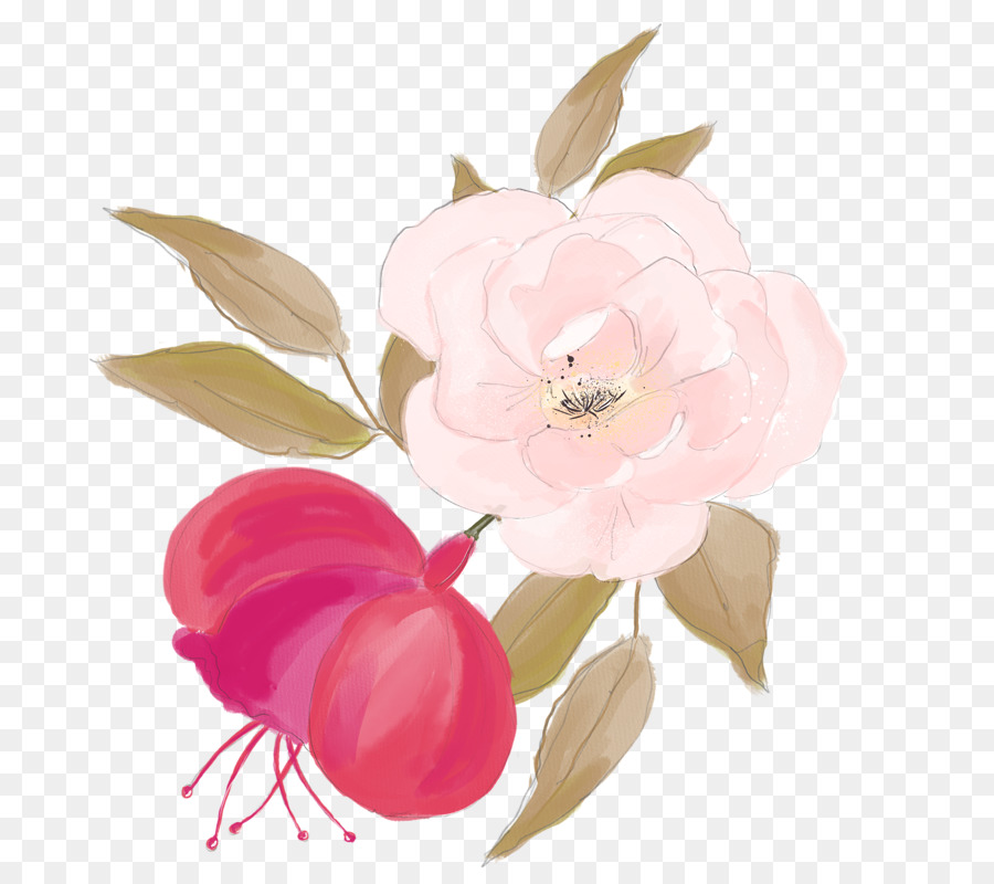 900x800 Centifolia Roses Watercolor Painting Flower Illustration - Simple Rose Painting