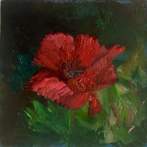 479x480 Mini Original Oil Painting - Single Flower Oil Painting