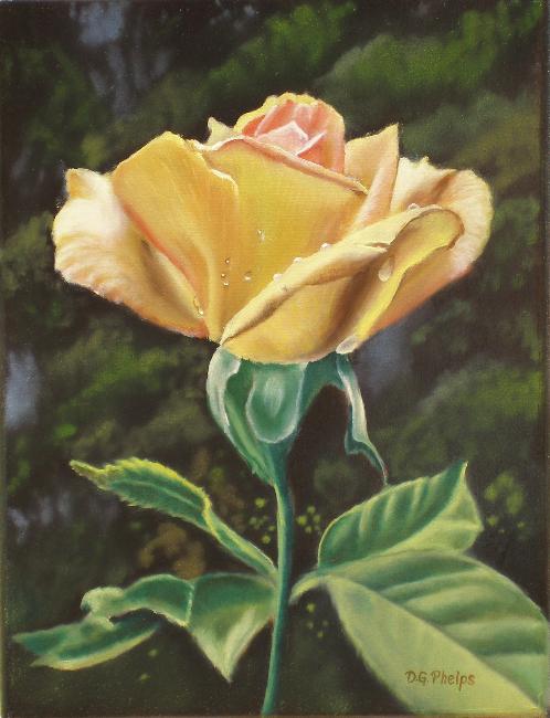 498x650 Single Yellow Rose Oil Painting By Artist Delmus Phelps. - Single Flower Oil Painting