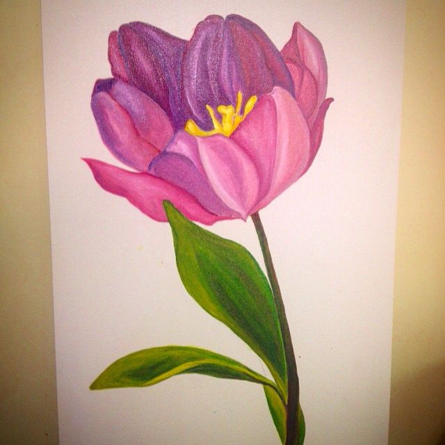 640x640 Single Flower, Oil Painting My Art - Single Flower Oil Painting