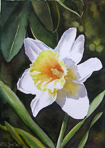 362x510 Daffodil - Single Flower Oil Painting