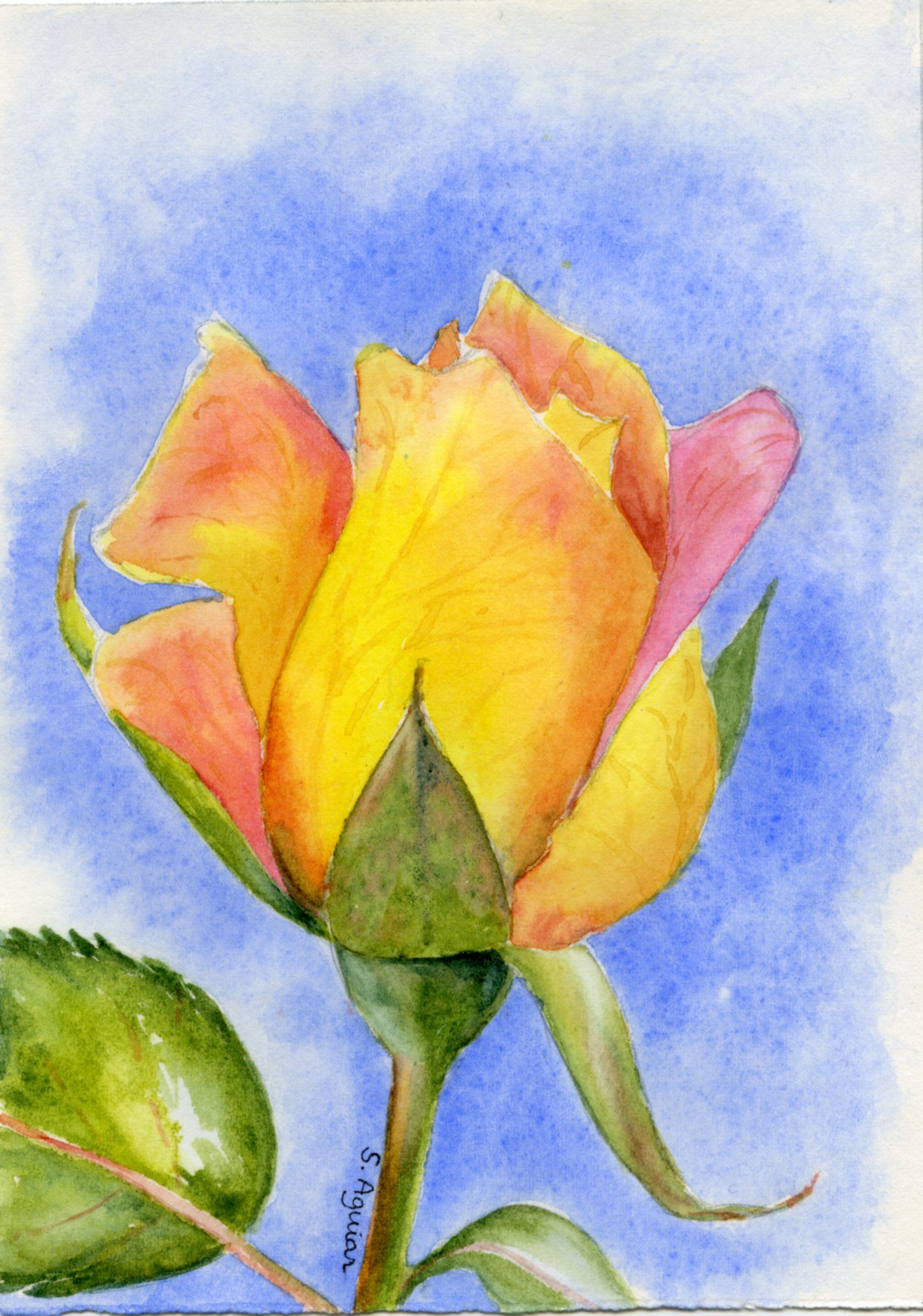 1478x2107 Single Rose I Painted This Flower From A Photo That My Husband - Single Flower Painting