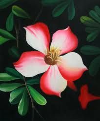 205x246 Simple Flower Painting Painting Inspiration Simple - Single Flower Painting