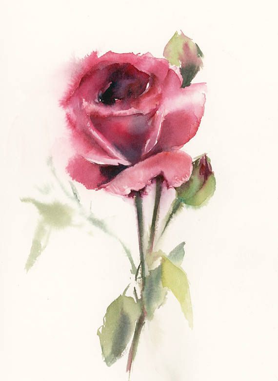 Single Rose Painting at PaintingValley.com | Explore collection of ...