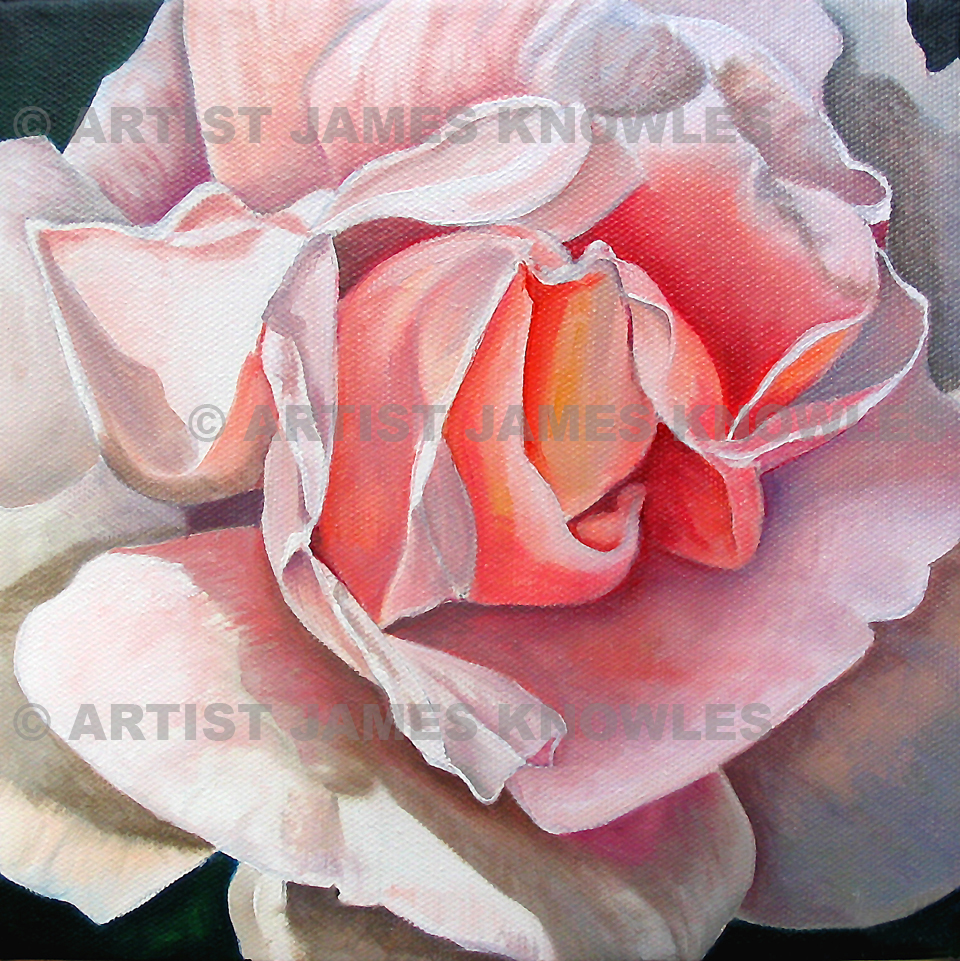 960x961 Single Original Oil Painting - Single Rose Painting
