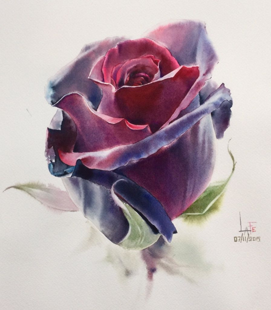 896x1024 Slike Watercolor, Flowers - Single Rose Painting
