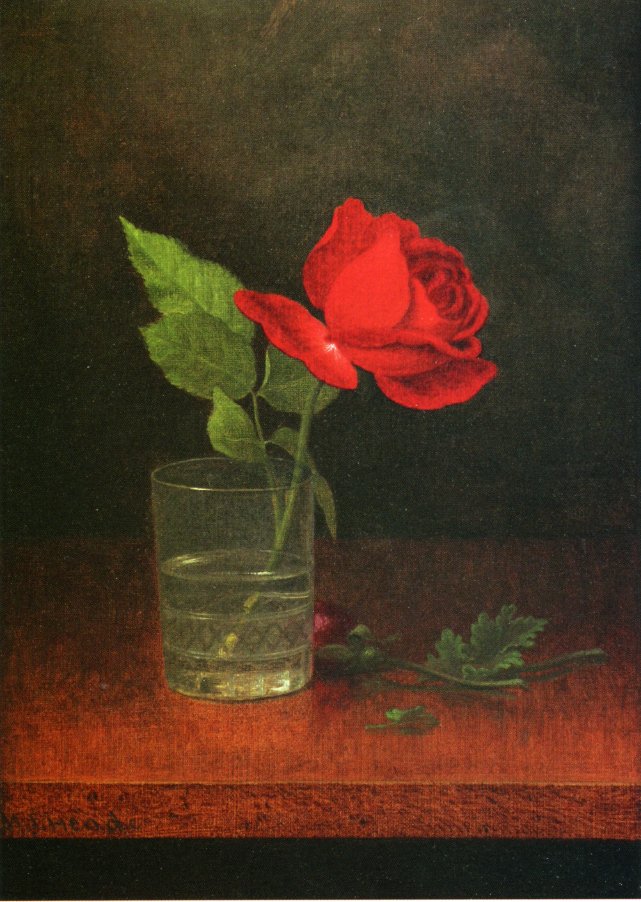 641x902 A Single Rose In A Glass Painting Martin Johnson Heade Oil Paintings - Single Rose Painting