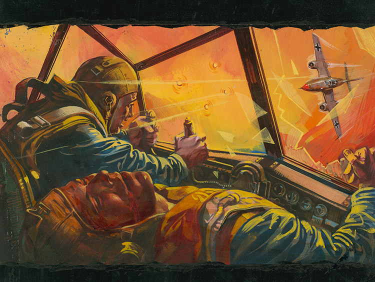 750x564 Air Ace Picture Library Cover - Sitting Duck Painting