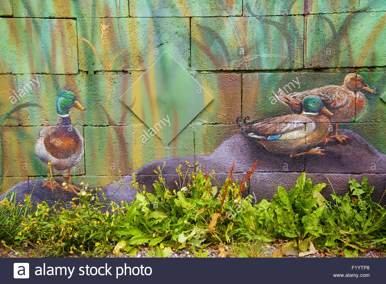 1300x956 Wild Duck Male And Female Sitting A Stone, Acrylic Painting - Sitting Duck Painting
