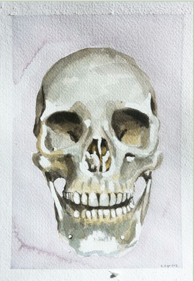 400x580 Watercolour Skull Painting - Skeleton Head Painting